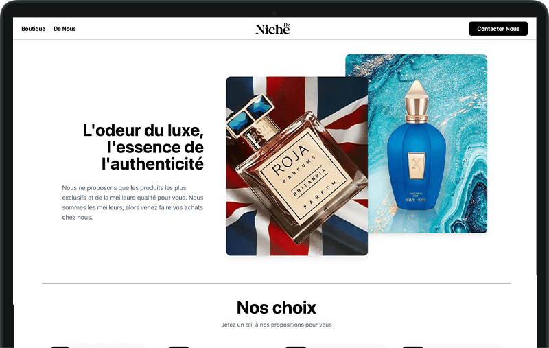 Niche DZ Website
